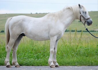 Zrebec WMP pre sezonu 2026 - 2