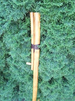 Fujara H - 2