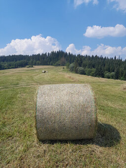 Seno 120cm baliky.Minimalny odber 5ks - 2