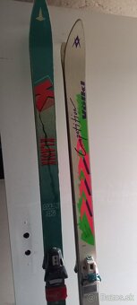 Lyže dva typy+palice - 2