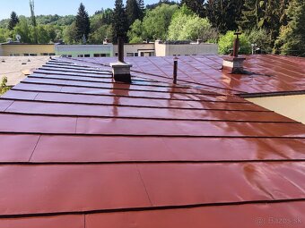 Malovanie striech - 2