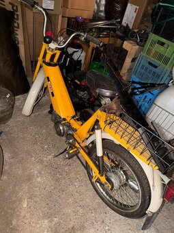 Bebeta 207 - 2