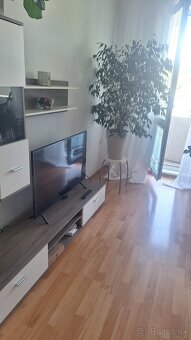 PIEŠŤANY prenájom priestranného 3i bytu s výhľadom na Váh - 2