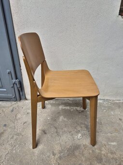 Designová židle Ton model Leaf (č.46) - 2