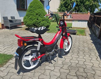 Manet Korado - 2