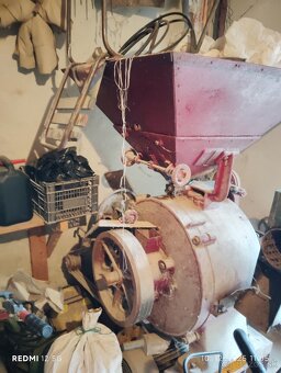 Srotovnik kameňový - 2