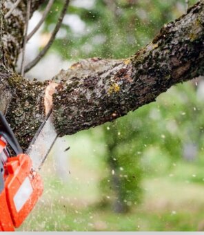 Kosím, Režem drevo, Štiepam. KE a PO kraj. - 2