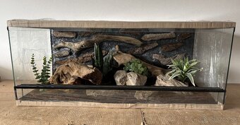 Terárium 100x50x40 s 3D stenou - 2