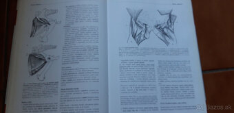 Veterinární anatomie - 2