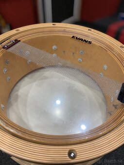 Snare PDP Concept Maple 6,5x14 - 2