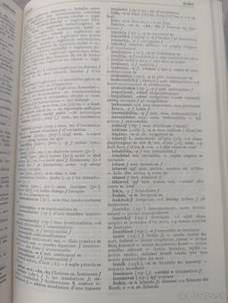 Fracuzsko- český slovnik - 2