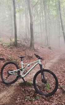 Specialized Stumpjumper Comp Carbon S5 (XL) - 2