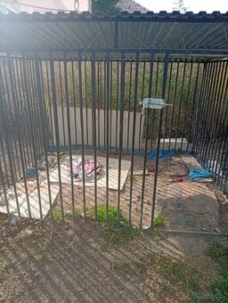 Voliera , klienta , buda pre psa - 2