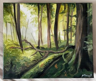 Obraz krajinka - 2