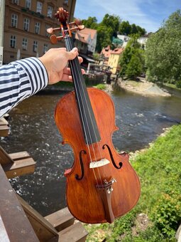 Stará Viola 40 cm - 2