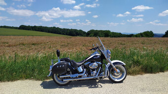 Harley-Davidson FLSTN Softail-Delux - 2