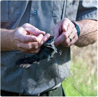 Síť k odchytu ptáků 10metrů x 3metry - 2