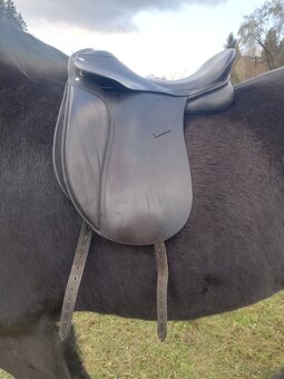 Drezúrne anglické sedlo 17,5 komora 2 - 2