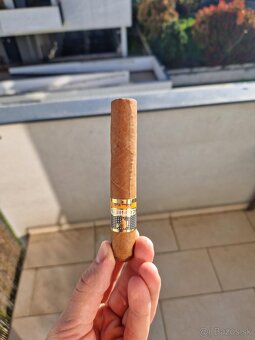 PREDÁM: Kubánske cigary Cohiba Robusto - 2