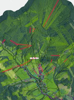 Čertižné – 65.550 m2 ORNÁ PÔDA a LESY v pozemkových úpravách - 2