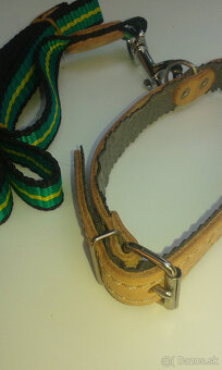 obojok a vodítko - 2