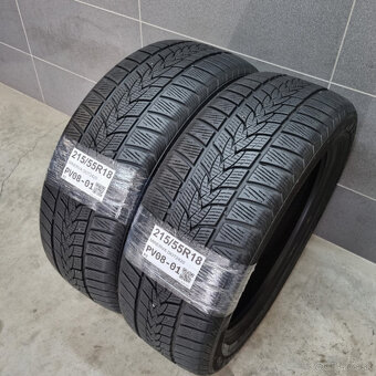 Zimné pneumatiky 215/55 R18 MINERVA - 2