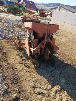 Predám sadzac zemiakov - 2