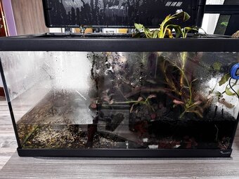 Akvárium 60l + príslušenstvo - 2
