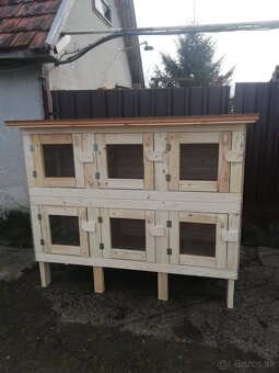 Zajacnik - 2