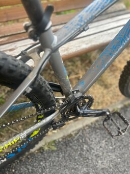 Kellys whip 50 - 2