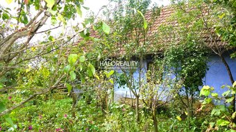 HALO reality - Predaj, rodinný dom Borský Mikuláš - EXKLUZÍV - 2