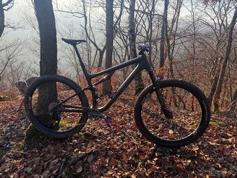 Specialized Epic 29 karbon - 2
