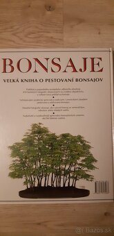 Bonsaje - 2