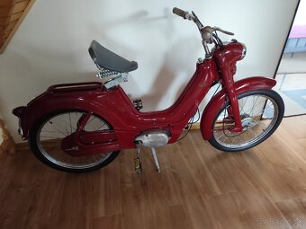 Jawetta 551 - 2