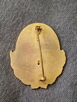 Starý odznak Dunajská Streda - 2