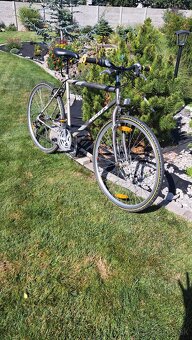 Bicykel Kelly's stylus cross - 2