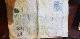 Viedenské noviny 1930 - 2