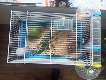 Škrečok + klietka - 2