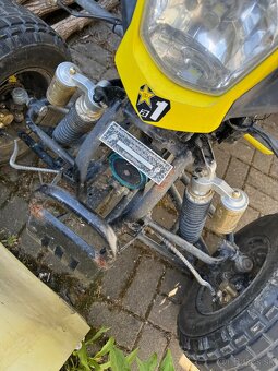 Bashan 250 - 2