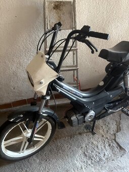 Manett korado - 2