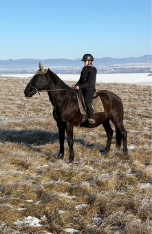 Kobyla s PP aj pre zaciatocnika - 2