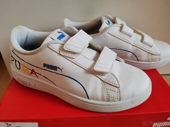 Botasky Puma v. 35 - 2