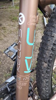 Dámsky bicykel - 2