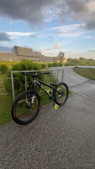 Ctm dirt king expert - 2