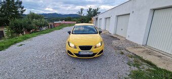 Seat Ibiza - 2