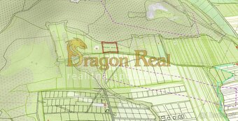 Pozemok vhodný na rekreáciu o rozlohe 1735 m2 – Fintice - 2
