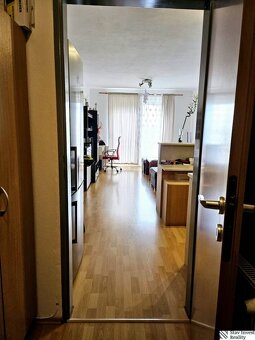 1 izbový byt, Pezinská, Senec - 2