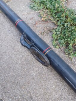 Kaprársky prút - 2