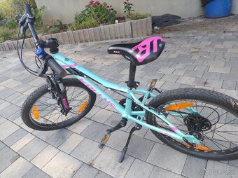 Kellys Lumi 50 pink blue - 2