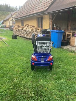 Eco bike - trojkolka pre seniorov - 2